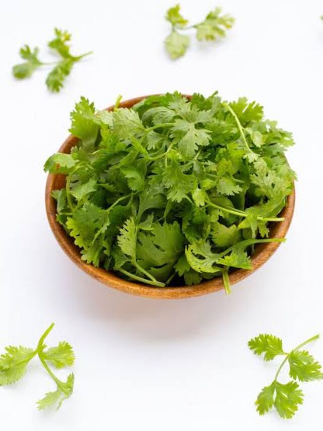 લીલા-ધાણાના-ખાવાના-ફાયદા