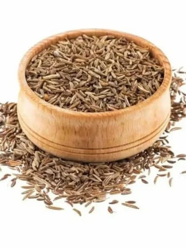 જીરું-ખાવાના-ફાયદા